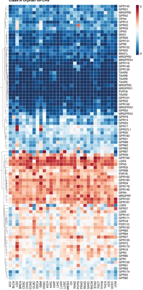 Figure 5. Expression of class A orphan receptors in cancer.Gene expression for class A orphan GPCRs from the UCSC TCGA PanCan Cohort RNA-seq dataset is shown