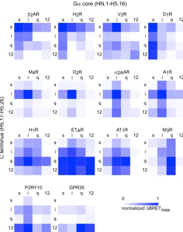 Fig. 3. Coupling to heterotrimers with C-terminal G α subunit chimeras.