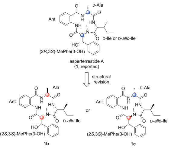 Figure 3. Putative structures of natural asperterrestide A (1) 