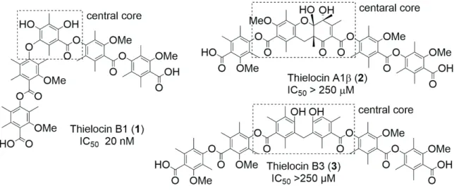Figure 1. Structures and PPI inhibitory activity of natural thielocins for the PAC3 homodimer