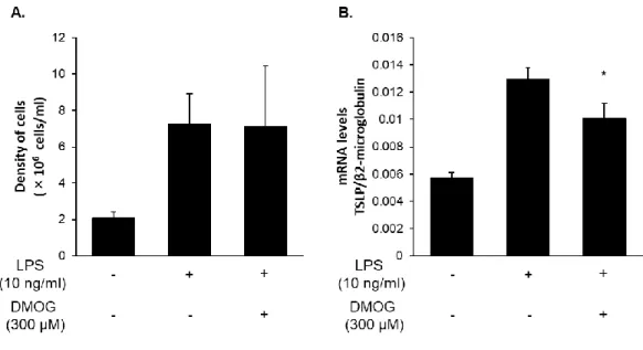 Figure  9.  DMOG  inhibits  LPS-induced  TSLP  expression  in  a  mouse  air-pouch-type  inflammation model