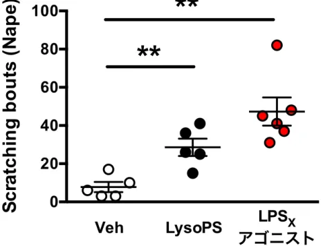 Fig. 5. LPS X  LysoPS