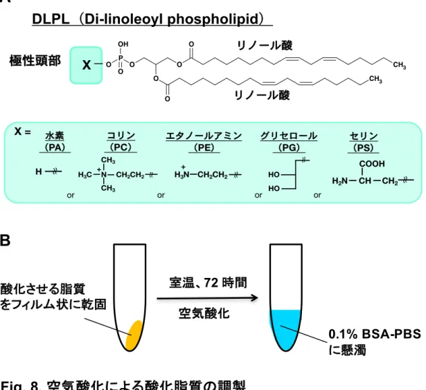 Fig. 8.  72 0.1% BSA-PBSOPOHOOOHOOOOCH3CH3OHリノール酸リノール酸極性頭部XDLPL Di-linoleoyl phospholipidH2NCHCOOHCH2〜〜H3N CH2CH2O〜〜+HOHO〜〜H〜〜X =ororor水素（PA）コリン（PC）エタノールアミン（PE）セリン（PS）グリセロール（PG）orNCH3H3CCH3+〜〜CH2CH2H3+N CH2CH2O〜〜 A:  DLPL  Di-linoleoyl phospholipid DLPC ox