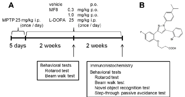 Fig. 10. The chemical structure of MF8 and experimental schedule. 