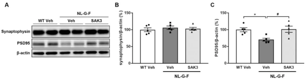 Fig. 10. SAK3 administration rescues reduced PSD95 expression in NL-G-F mice. 
