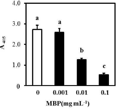 Figure 1-4. Effect of milk basic protein (MBP) on osteoblast-mediated osteoclastogenesis  in co-cultures of ST2 cells and bone marrow cells