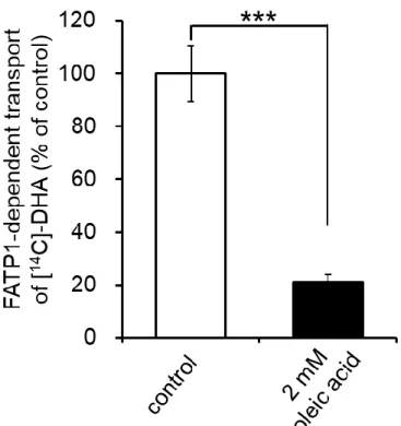 Figure 2-5 Inhibitor effect of oleic acid on uptake of [ 14 C]-DHA by FATP1-expressing and  mock HEK293 cells