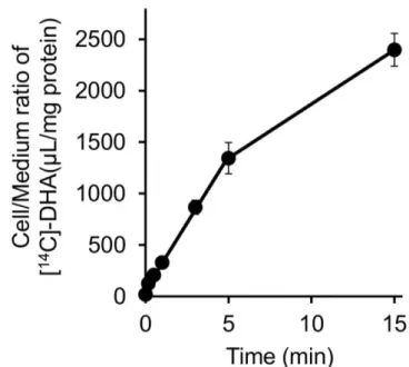 Figure 2-6 Uptake of [ 14 C]-DHA and [ 3 H]-oleic acid by hCMEC/D3 cell line.  