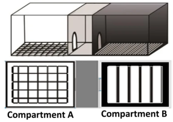 Figure 7. Conditioned Place Preference Box 