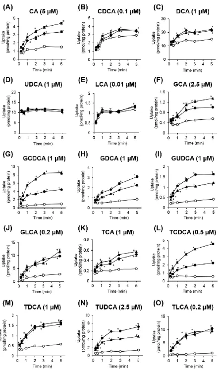 Fig.  6  Time-dependent  uptake  of  bile  acids  by  OATP1B1  and  OATP1B3. 