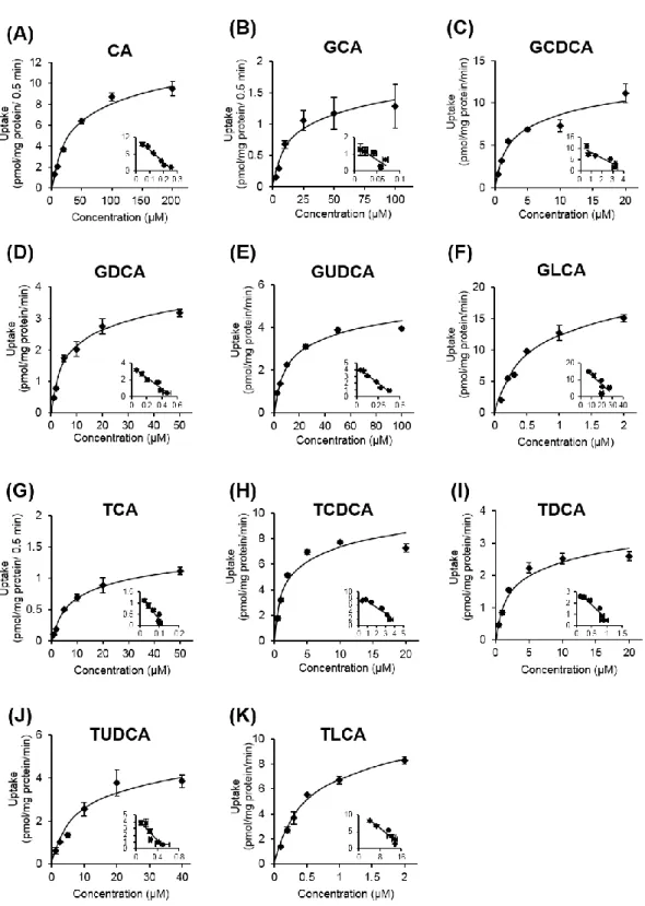 Fig.  8  Concentration-dependent  uptake  of  bile  acids  by  OATP1B3. 