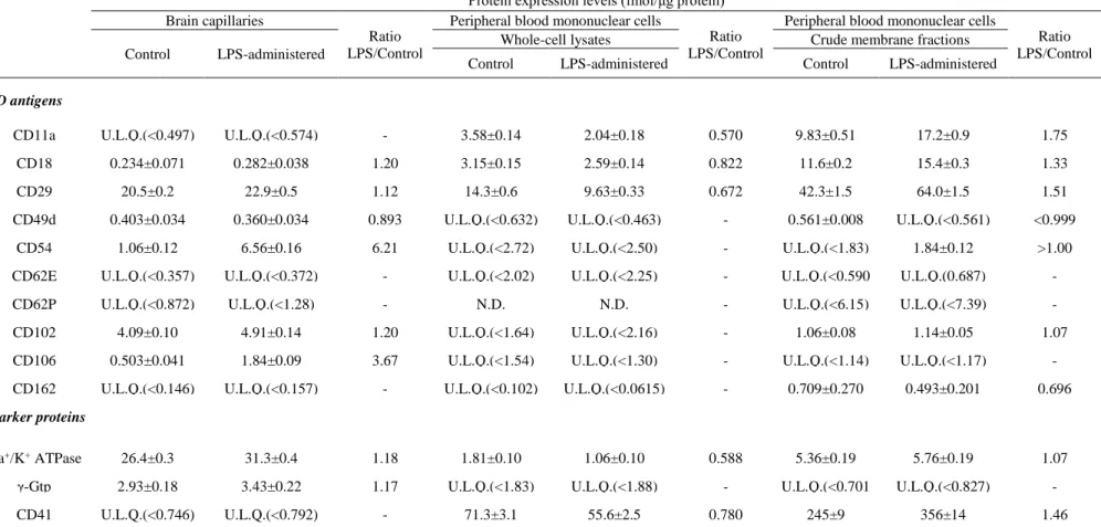 Table 2-1. Protein expression levels of CD antigens and marker proteins in brain capillaries (Bcap) and peripheral blood  mononuclear cells (PBMCs) of LPS-administered mice 
