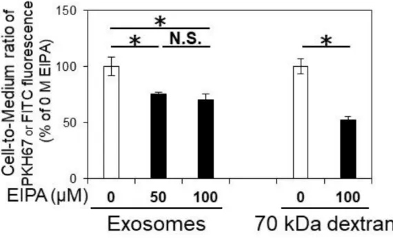Figure  2-4.  Exosomes  are  internalized  into  hCMEC/D3  cells  partially  via  macropinocytosis