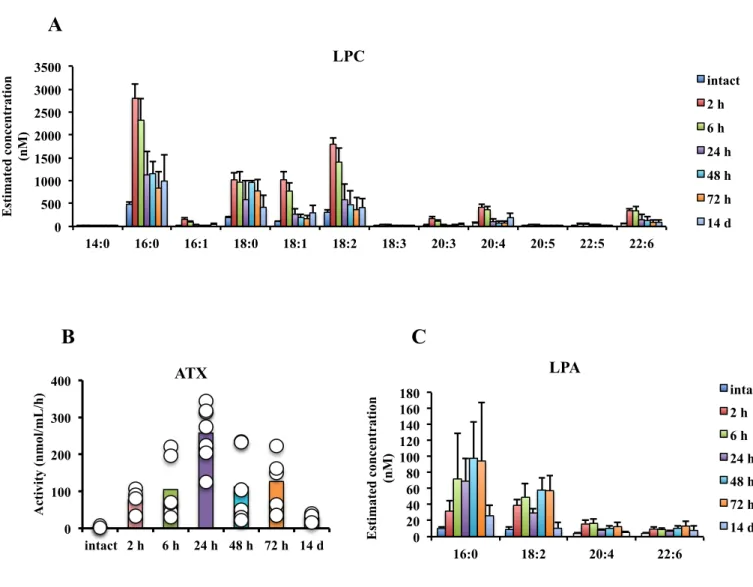 Figure  3.  Increased  levels  LPC,  LPA  and  ATX  activity  in  peritoneal  cavity  of 