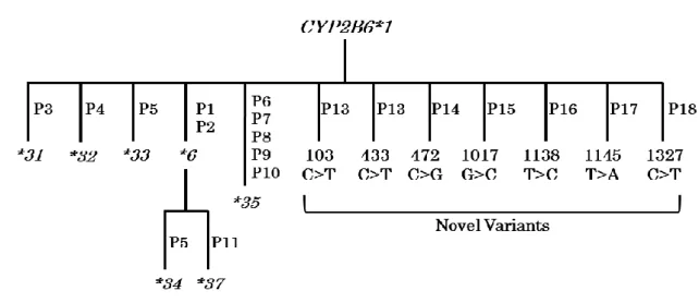 Fig. 3. Schematic view of the protocol for the site-directed mutagenesis. 