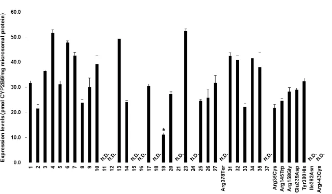 Fig. 10. Expression levels of CYP2B6 proteins expressed in 293FT cells. Each bar is presented as the  mean  ±   S.D