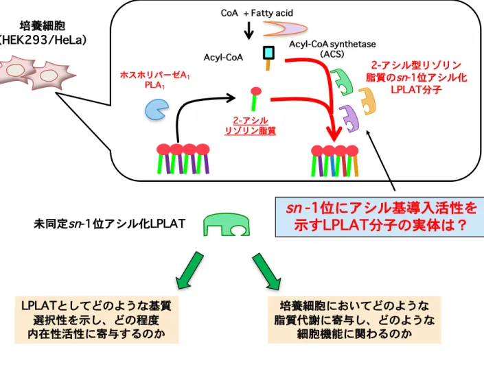 Figure 6 本研究の目的