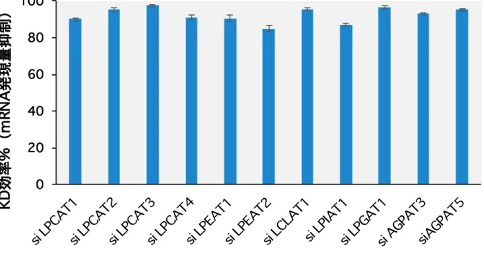 Figure 9 HEK293A細胞におけるsiRNAを用いたLPLAT分子の発現抑制効果