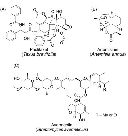 Figure 1. (A) Paclitaxel, (B) artemisinin および (C) avermectin の構造 