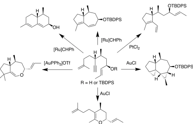 Figure 5. Winssinger らによる多様性指向型合成