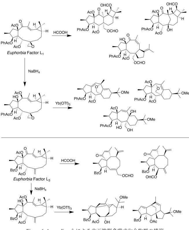 Figure 6. Appendino らによる非天然型多環式化合物群の構築