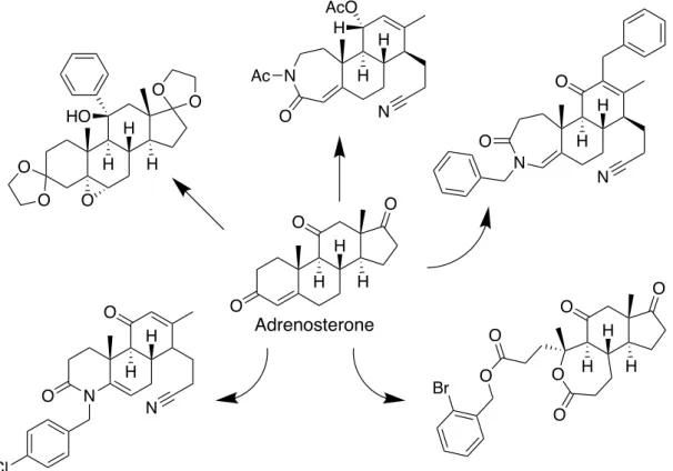Figure 7. Adrenosterone を基盤にした  “Ring-distortion strategy”  による骨格変換