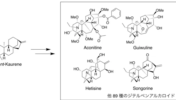 Figure 9. Aconitum carmichaelii に含まれるジテルペンアルカロイドの例