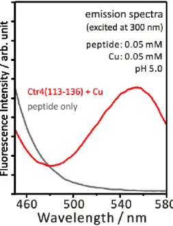 図 3-1 Ctr4(113-136)にCuCl 2 を添加する前後の蛍光スペクト ル。ペプチドおよび銅イオンの終濃度は 0.05  mM。イオン 交換水で溶解したペプチドに CuCl 2 のストック溶液を添加 した後、 NaOH 水溶液で pH を 5.0 に調整し、測定を行った。