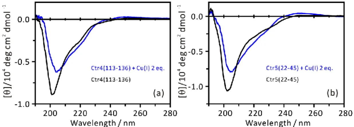 図 4-7 50 mM MES buffer (pH 5.0)中で、 50 µM の(a) Ctr4(113-136)および(b) Ctr5(22-45)に 0.1 mM の Ctr5(22-45)に対して 2 当量の[Cu(CH 3 CN) 4 ]PF 6 を添加する前後のサンプルについて、CD ス ペクトルを測定した。縦軸は α 炭素のモル濃度で規格化した[2L]。 
