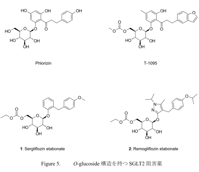 Figure 5.  O-glucoside 構造を持つ SGLT2 阻害薬 