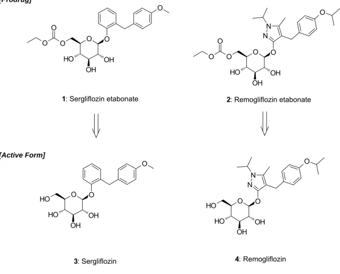 Figure 7.  Sergliflozin etabonate (1) と Remogliflozin etabonate (2) の活性体