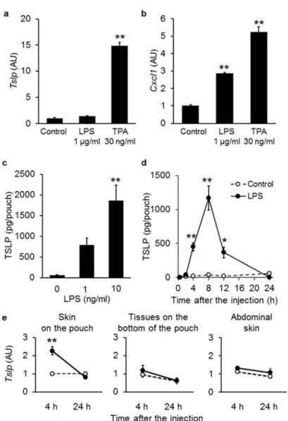 Fig.  1-1.  Effect  of  LPS  on  the  production  of  TSLP  in vitro  and  in vivo.    (a,  b)  Relative  mRNA  expression levels of Tslp (a) and Cxcl1 (b) were determined by real-time PCR in PAM212 cells 8 h  after the LPS stimulation