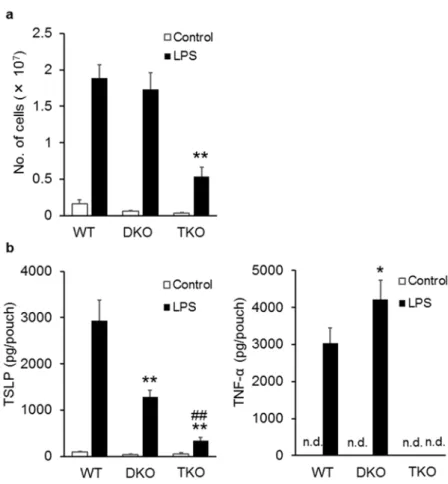 Fig 1-4. Contribution of TNF-α and IL-1β to LPS-induced TSLP production in a mouse air-pouch- air-pouch-type inflammation model