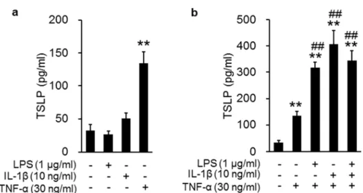 Fig. 1-5. Effects of the combined stimulation with TNF-α, IL-1β, and LPS on TSLP production in  PAM212  cells