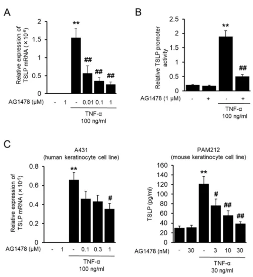 Fig.  2-2.  Effect  of  EGFR  kinase  inhibition  on  TSLP  mRNA  induction  by  TNF-α