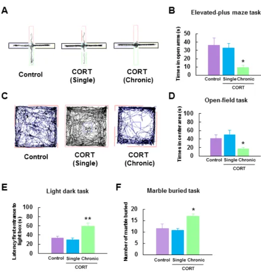Fig. 2. Chronic CORT treated mice exhibit an increase in anxiety-like behaviors.   