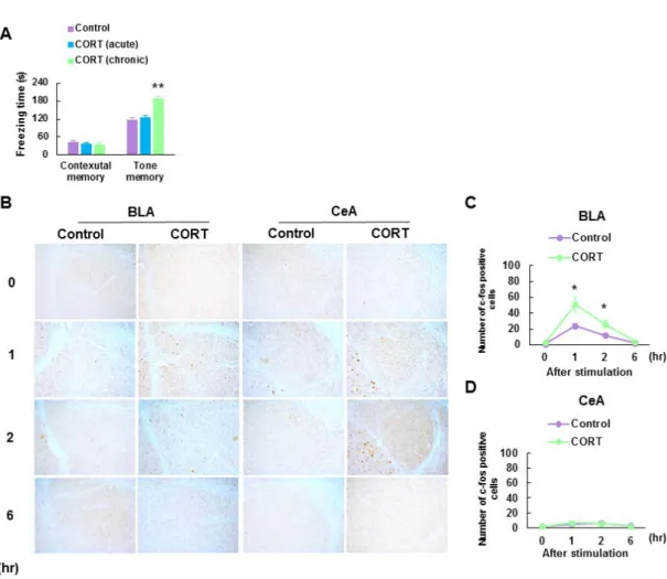 Fig. 3. Chronic CORT treated mice exhibit enhanced tone-induced fear memory and c-Fos  expression in the basolateral amygdala (BLA)