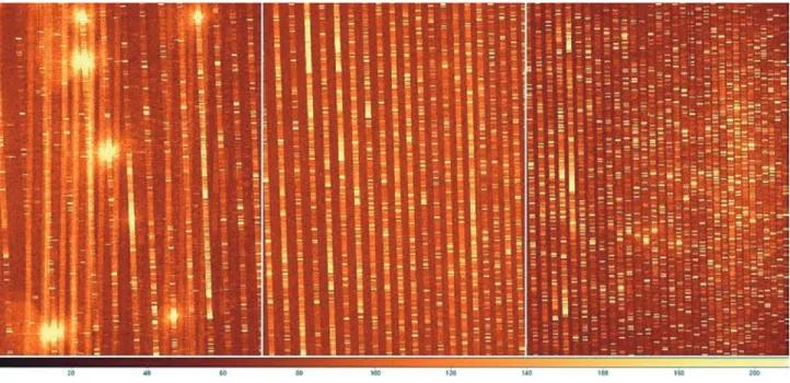 図 2-12 モザイク CCD により一度に得られた 4100-7800Å の波長域の Th-Ar ランプのスペクトル画像。画面の右側へ行く ほど短波長、また、下へ行くほど短波長である。   図 2-13 モザイク CCD 時代の HIDES 全景 図 2-14 ファイバーの入射端。斜線部の鏡面に開けた直径 440 μm （2.7 ）の穴を通った星の光をコア直径 100 μm のファイバーに瞳像を作って入射させる。間に 2 回の検出器交換を実施した。1 回目は 1 個の CCD の載せ替え（2000 年 2
