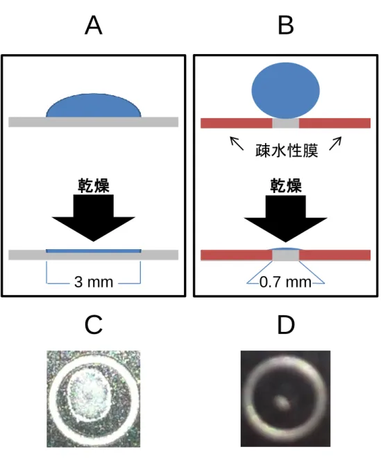 Fig. 5 μFocus plate 濃縮の原理