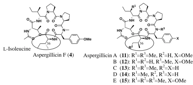 Figure 38. Aspergillicin F (4)  および  A-E (11-15)  の構造 