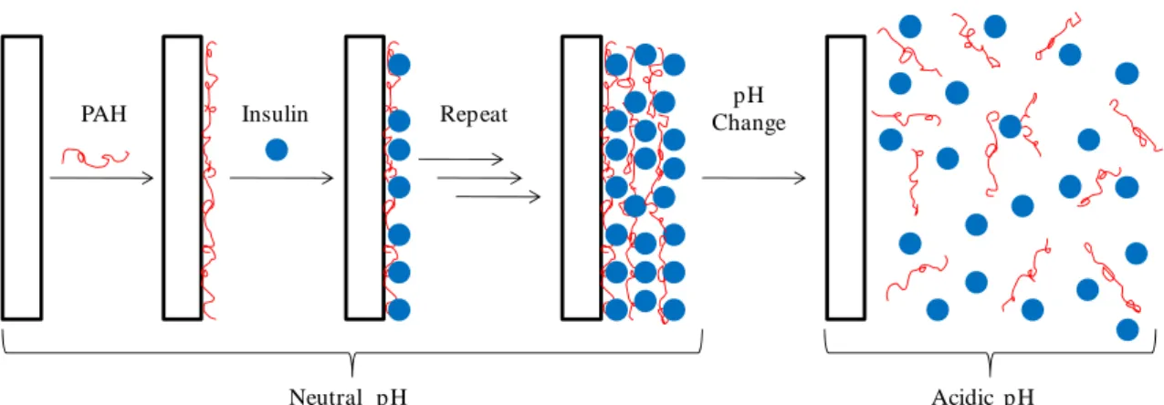 Fig. 2-4 PAH-Insulin 累積膜の AFM 画像