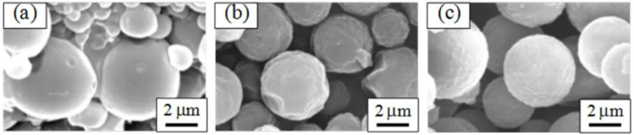 Fig. 2-6  PAH/Insulin 累積膜被覆 PLA 粒子の SEM 画像 
