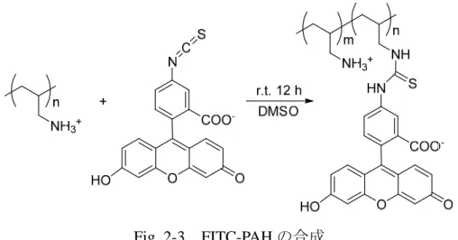 Fig. 2-3  FITC-PAH の合成 