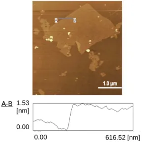 Fig. 2-5 に、調製した GO の AFM 画像および線分 AB の断面図を示した。 AFM