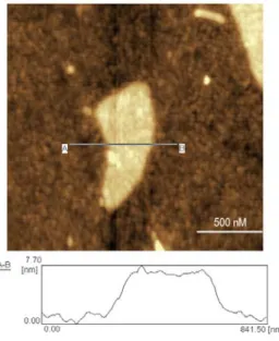 Fig. 3-7  アビジン-GO の AFM 画像 