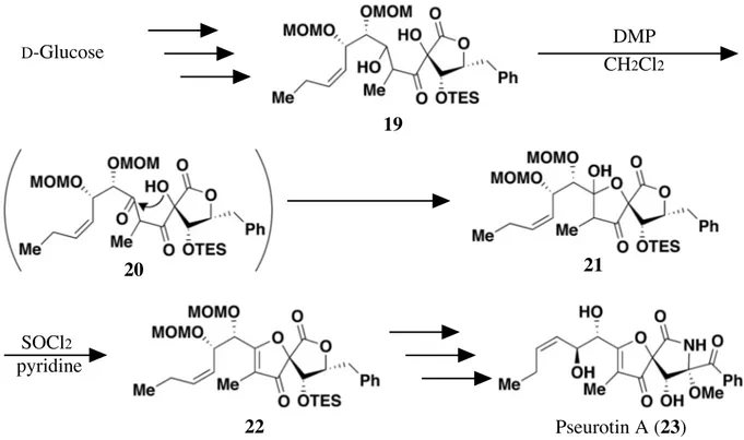Figure 12.   Aoki  らによる  pseurotin A (23)  の全合成 16