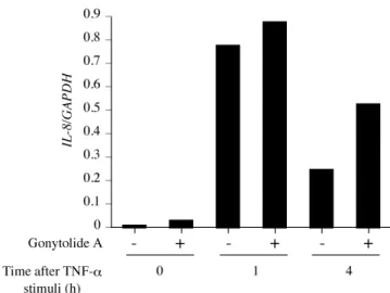 Figure 15. TNF-α  刺激下の IL-8  発現