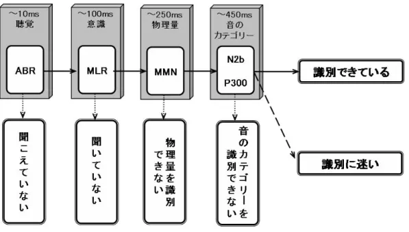 図 4 に、聴覚情報処理の過程をフローチャート化した。今回指標とした ERP 成分だけではな く、音刺激 が中枢聴覚 路を通じて 脳の聴皮質 に至るまで の、より短 い潜時に観 察される聴 性 誘 発電位から 記述してい る。つまり 、音が聴覚 神経を興奮 させる時点 から、言語 音のカテゴ リ ー が識別される時点までを示した図式である。以下でこのモデル図の詳細を示す。  音が聞こえると 23 、まず 10ms  までの短潜時に聴性脳幹反応 (ABR) が現れる。ABR は聴性誘 発電位の一 種で、音を 