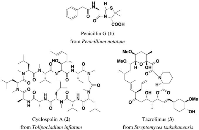 Figure 4.  微生物より得られた生理活性物質の構造