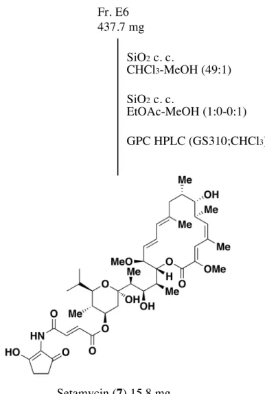 Figure 15. Setamycin (7)  の単離SiO2 c. c. EtOAc-MeOH (1:0-0:1)SiO2 c. c.CHCl3-MeOH (49:1)Setamycin (7) 15.8 mgFr